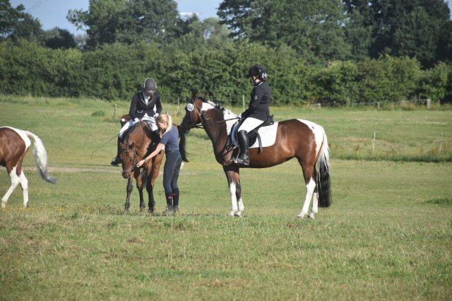 08-14-27_turnier bohm 24.07.2016  38